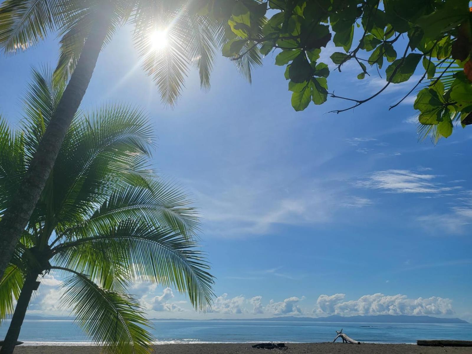 Agua Dulce On The Beach ปัวร์โตคิมาเนซ ภายนอก รูปภาพ