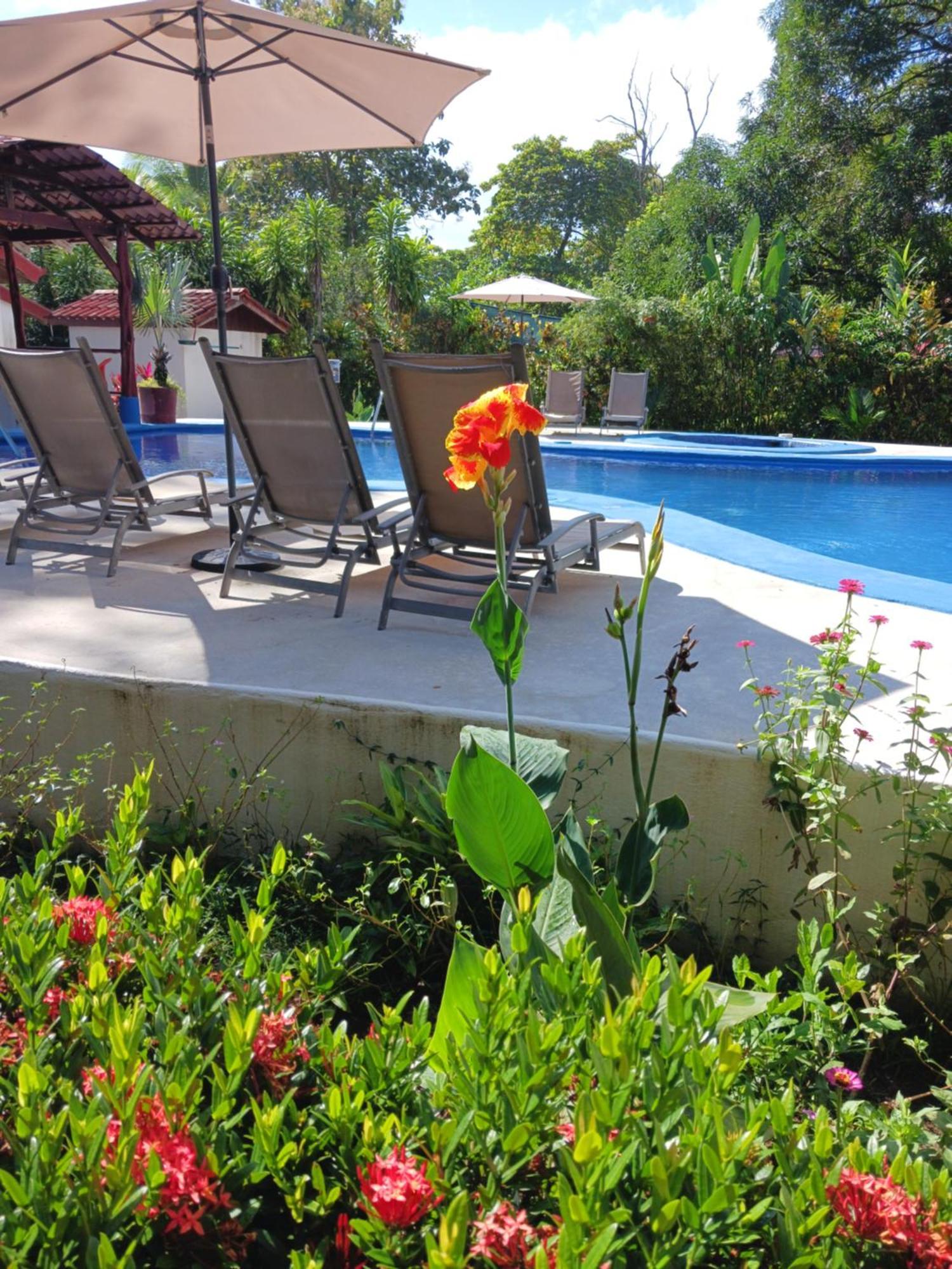 Agua Dulce On The Beach ปัวร์โตคิมาเนซ ภายนอก รูปภาพ